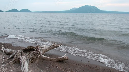支笏湖の波と流木 / Lake Shikotsu Waves and Driftwood