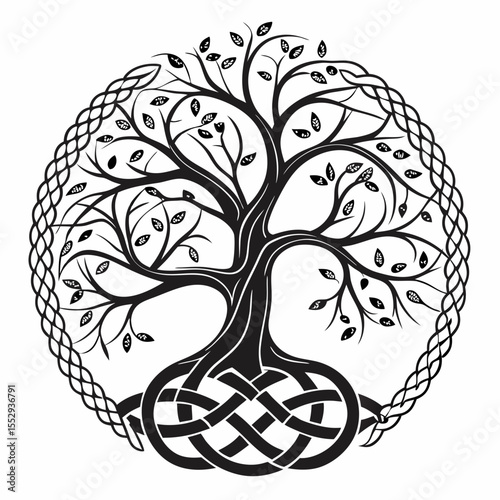 Black and White Celtic Tree of Life with Intricate Knotwork Border