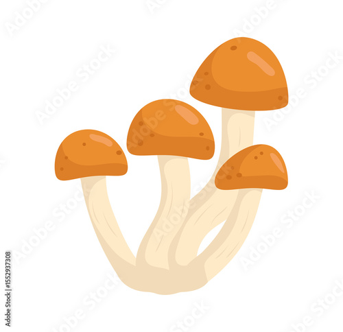 Honey mushrooms isolated on white background. Autumn forest fungi in flat style. Vector illustration.
