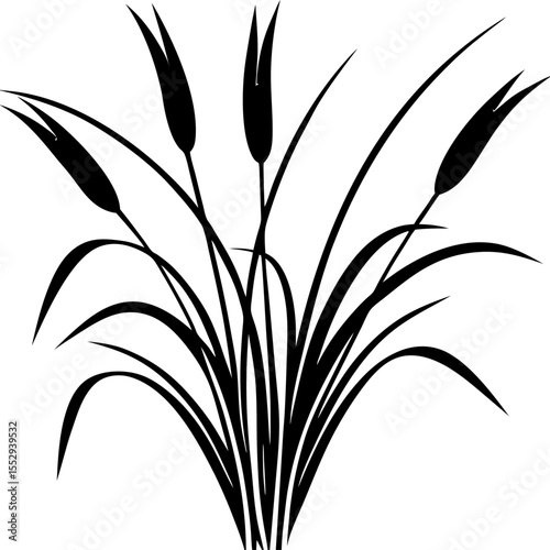 Elegant Black and White Cattail Silhouette with Graceful Leaves and Distinctive Flower Heads