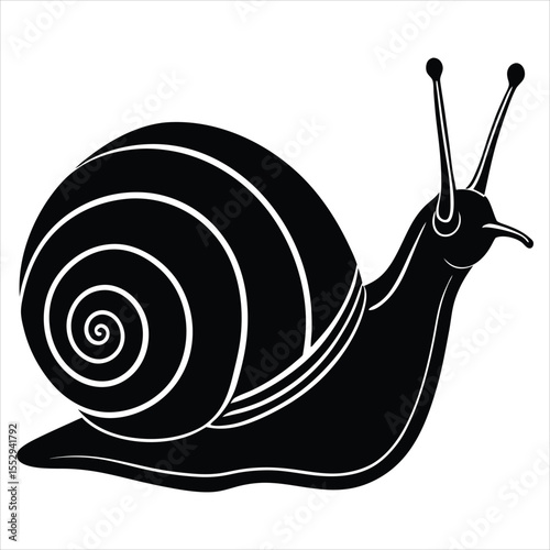Stylized black snail silhouette illustration shell spiral nature animal wildlife garden