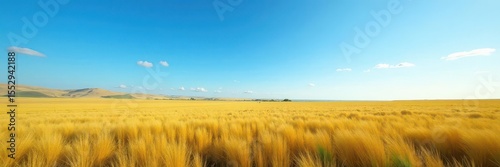 Empty field stretches to horizon, brilliant azure sky,  calm,  clear