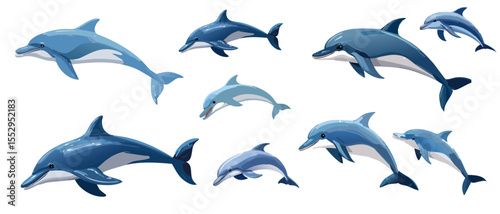 dolphins jumping vector set animal graphic design