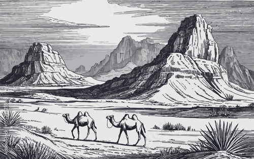 Two camels traverse a vast desert landscape in this vintage, engraving-style illustration. Rocky mesas rise in the background under a bright sun, creating a dramatic and arid scene. 