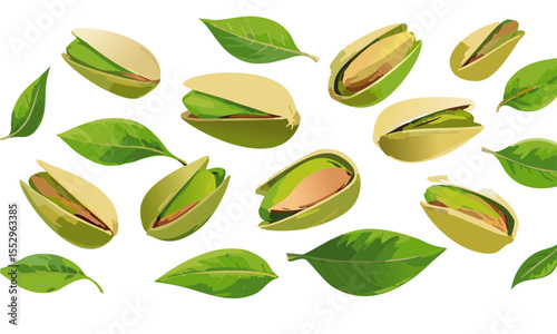 flying pistachios set vector food graphic design