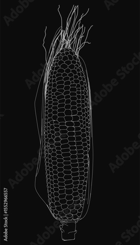Black and white contour drawing of an ear of corn with detailed husks and visible kernels, isolated on a stark black background for high contrast. The clean lines and intricate shading emphasize