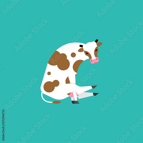 Cow yoga. Rural yogi. Cows doing relaxing gymnastics. Cattle relax