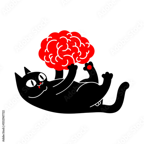 Cat plays with brain. Pet and brains.