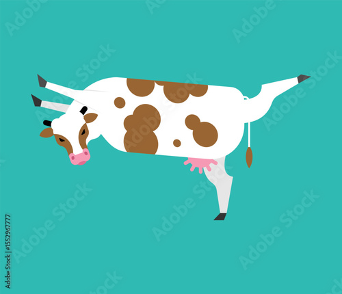 Cow yoga. Rural yogi. Cows doing relaxing gymnastics. Cattle relax