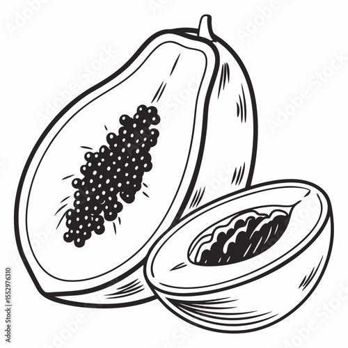 Halved Papaya Illustration Black and White black white