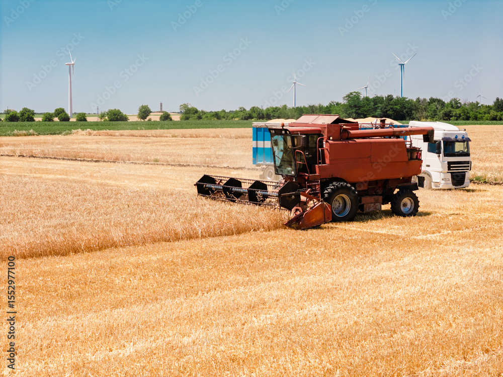 Obraz premium Harvest season combine harvester in golden field with sustainable energy turbines