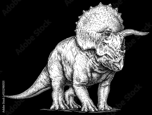 Vintage engraving isolated Triceratops set illustration reptile ink sketch. Dinosaur background silhouette Jurassic art. Black and white hand drawn image	