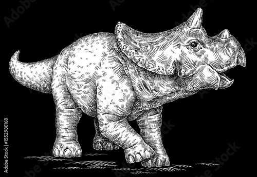 Vintage engraving isolated Triceratops set illustration reptile ink sketch. Dinosaur background silhouette Jurassic art. Black and white hand drawn image	