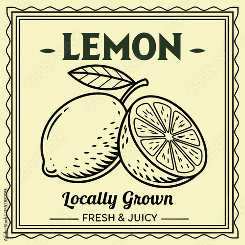 Fresh Ripe Citrus Fruit Healthy Eating Natural Produce Delicious Zest