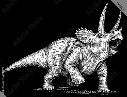 Vintage engraving isolated Triceratops set illustration reptile ink sketch. Dinosaur background silhouette Jurassic art. Black and white hand drawn vector image