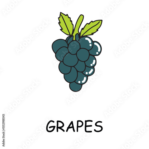 Collection of vector fruit icons features a range of Different fruits summer collection.fresh designs, including popular fruits like apples, bananas, strawberries, watermelons, and more.