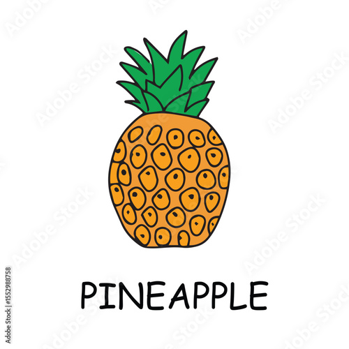 Collection of vector fruit icons features a range of Different fruits summer collection.fresh designs, including popular fruits like apples, bananas, strawberries, watermelons, and more.