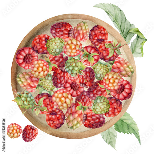 Raspberry served on ceramic dish with leaves on stalks, ripe picked garden berry dewberry cloudberry mulberry harvest. Isolated illustration hand drawn in watercolor. Farmers market grocery preserves