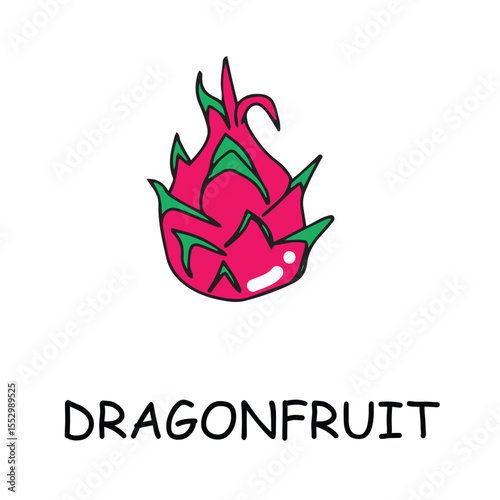 Collection of vector fruit icons features a range of Different fruits summer collection.fresh designs, including popular fruits like apples, bananas, strawberries, watermelons, and more.