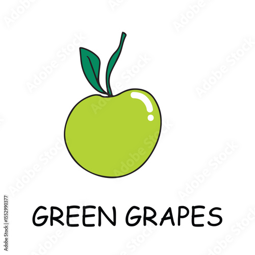 Collection of vector fruit icons features a range of Different fruits summer collection.fresh designs, including popular fruits like apples, bananas, strawberries, watermelons, and more.