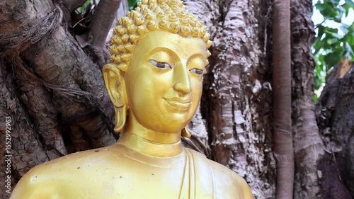 Golden Buddha statue in front of a Bodhi tree, symbolizing peace, faith, and Buddhism in a sacred and tranquil temple environment, close-up