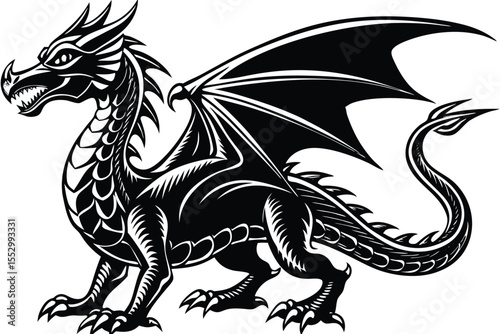 Black dragon displays its magnificent wings with a fierce expression in form