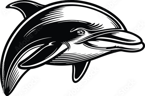 Black and white dolphin swims gracefully across the frame with streamlined body
