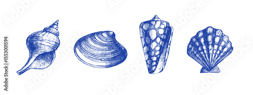 Hand drawn sketch seashell set. Vector isolated illustration on white background