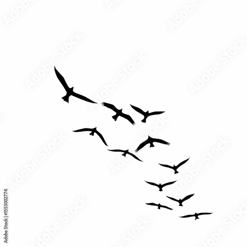 Silhouette of a Flock of Birds in Flight A Simple, Elegant Ink Drawing of Birds Taking Flight, Perfect for Nature Lovers and Bird Enthusiasts