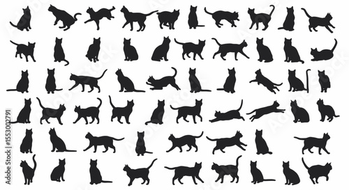 Extensive Collection of Black Cat Silhouettes Diverse Poses and Sizes for Design Projects
