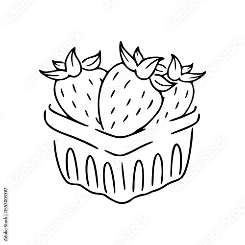 Photos fruit basket line art