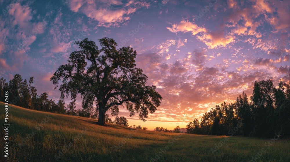 Fototapeta premium Wide-angle meadow view with ancient oak standing against radiant sky tones at twilight