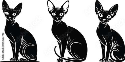Sphynx cat silhouette vector set, collection of three sphynx cat icon in black isolated style for design and art