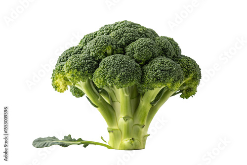 Fresh green broccoli florets and stem isolated on transparent background