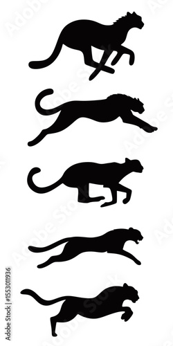 Silhouette Collection of Running Cheetahs Graceful Movement and Powerful Energy Animal