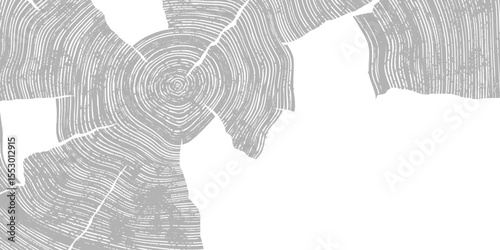 Wood texture frame, wood plank, gray lines on white background, vector design