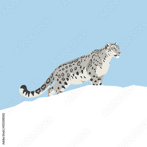A graceful snow leopard traversing a snowy landscape, with its distinctive coat of grey and black spots. A testament to the beauty and power of the wild