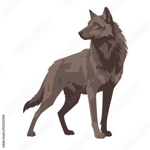 A strong and alert gray wolf stands proud, its gaze fixed on the distance. It is a symbol of wild beauty and the resilience of the animal kingdom