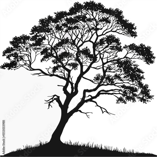 tree silhouette vector