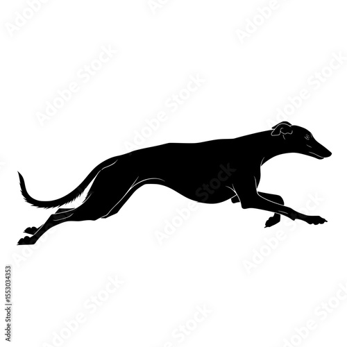 Graceful black silhouette of a greyhound dog running at full speed with its body stretched out and tail flowing isolated on transparent background silhouette