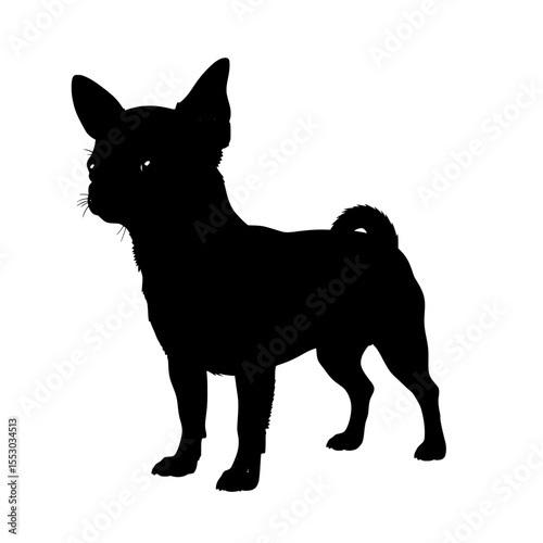 A sleek black chihuahua dog stands attentively with its ears perked and tail curled depicted as a striking silhouette isolated on transparent background