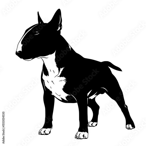A striking black and white silhouette of a muscular bull terrier dog standing alertly showcasing its distinctive head shape and body isolated on transparent background silhouette