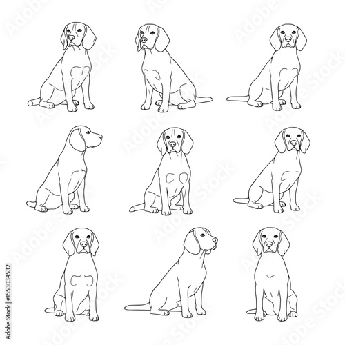 Collection of nine distinct line art drawings of a beagle dog in various sitting poses and angles showcasing its silhouette isolated on transparent background