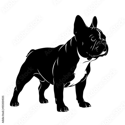 A striking black and white silhouette of a french bulldog standing proudly showcasing its distinctive muscular build and alert ears isolated on transparent background silhouette