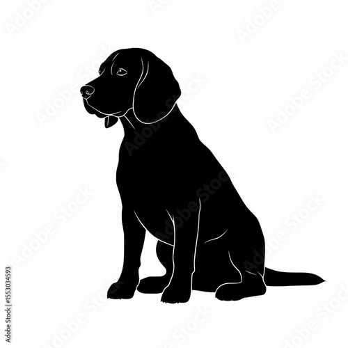 A sleek black silhouette of a young labrador retriever dog sitting attentively and looking to the left isolated on transparent background silhouette