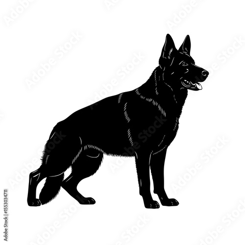 Majestic german shepherd dog standing alert with tongue out in a striking black silhouette isolated on transparent background