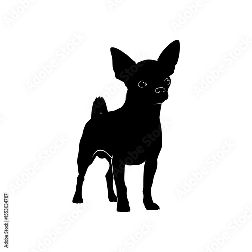 A small black chihuahua dog standing alert with large ears and big eyes presented as a clean silhouette on a transparent background isolated on transparent background