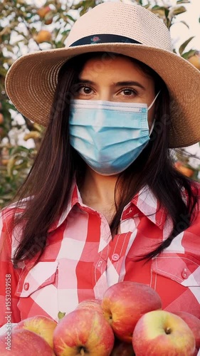 Farmer with apple harvest. woman, in protective mask, holds in hands a box of freshly picked apples. backdrop of apple farm orchard, with many ripe juicy fruits. at sunset. autumn . gardening.
