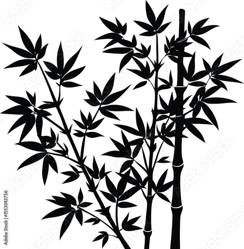 Silhouette of a Bamboo Stalk