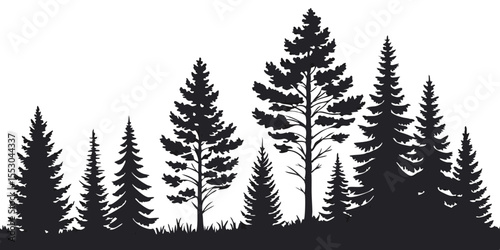 Dark evergreen forest silhouette with varied pine trees and grass detail isolated on transparent background silhouette